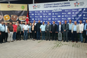 IMG_20250929_203615_464