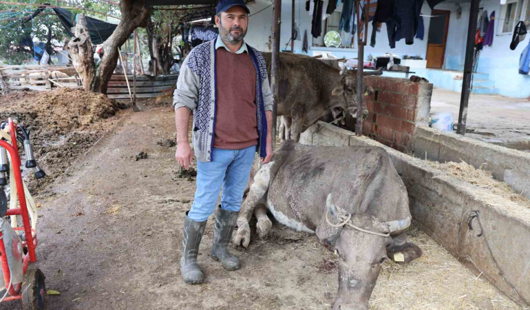 Sel Felaketi Aydın’da Can Aldı!