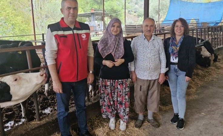 Kadın Çiftçi Tuğba, Süt Sığırcılığına Başladı