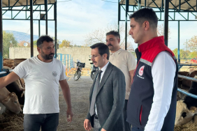 FB_IMG_1761203598717