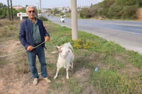 KEÇİLERİ İLE TATİL YAPIYOR