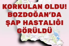 Aydın günaydın haber ilçe yerel haber