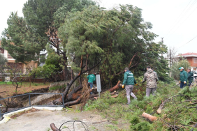 WhatsApp Image 2026-01-27 at 18.18.31 (1)